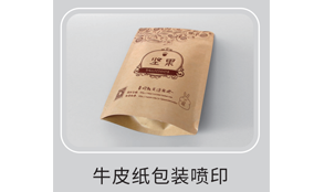 HS-300单张数码喷墨印刷设备技术参数Technical Parameters